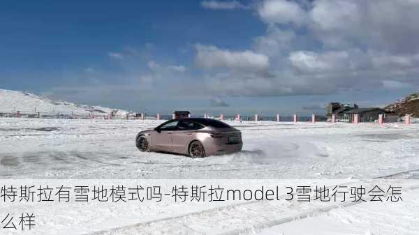 特斯拉有雪地模式吗-特斯拉model 3雪地行驶会怎么样