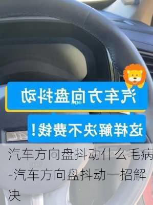 汽车方向盘抖动什么毛病-汽车方向盘抖动一招解决