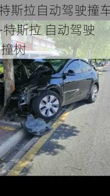 特斯拉自动驾驶撞车-特斯拉 自动驾驶 撞树