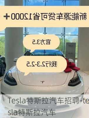 Tesla特斯拉汽车招聘-tesla特斯拉汽车