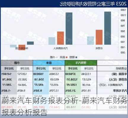 蔚来汽车财务报表分析-蔚来汽车财务报表分析报告