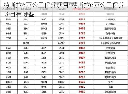 特斯拉6万公里保养项目-特斯拉6万公里保养项目有哪些