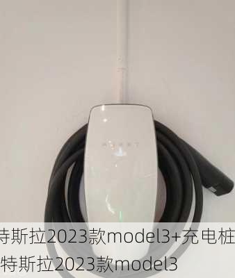 特斯拉2023款model3+充电桩-特斯拉2023款model3