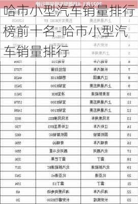 哈市小型汽车销量排行榜前十名-哈市小型汽车销量排行