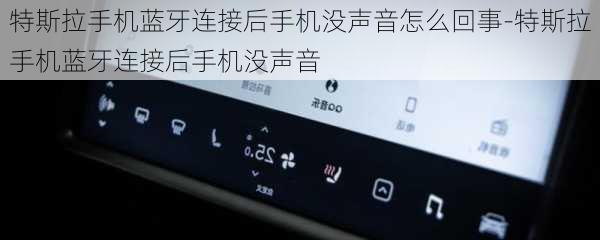 特斯拉手机蓝牙连接后手机没声音怎么回事-特斯拉手机蓝牙连接后手机没声音