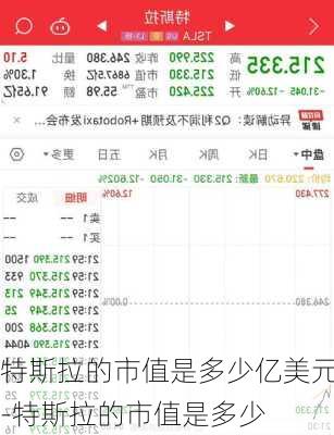 特斯拉的市值是多少亿美元-特斯拉的市值是多少