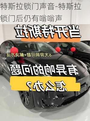 特斯拉锁门声音-特斯拉锁门后仍有嗡嗡声