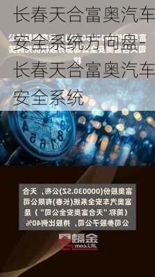 长春天合富奥汽车安全系统方向盘-长春天合富奥汽车安全系统