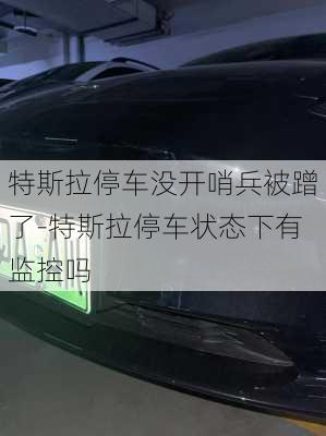 特斯拉停车没开哨兵被蹭了-特斯拉停车状态下有监控吗