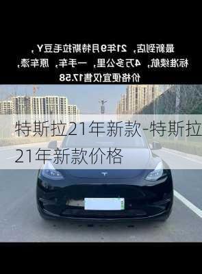 特斯拉21年新款-特斯拉21年新款价格