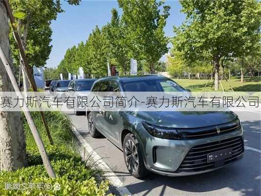 赛力斯汽车有限公司简介-赛力斯汽车有限公司