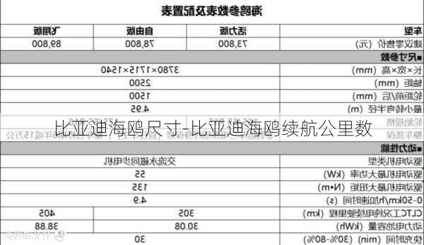 比亚迪海鸥尺寸-比亚迪海鸥续航公里数