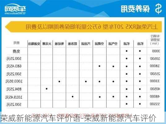 荣威新能源汽车评价语-荣威新能源汽车评价