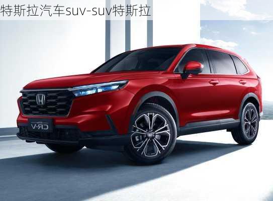 特斯拉汽车suv-suv特斯拉