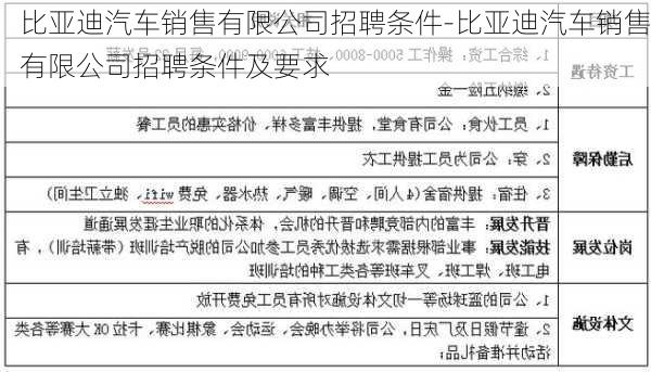 比亚迪汽车销售有限公司招聘条件-比亚迪汽车销售有限公司招聘条件及要求