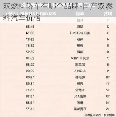 双燃料轿车有哪个品牌-国产双燃料汽车价格