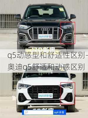 q5动感型和舒适性区别-奥迪q5舒适和动感区别