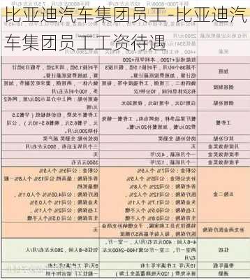 比亚迪汽车集团员工-比亚迪汽车集团员工工资待遇