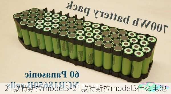 21款特斯拉model3-21款特斯拉model3什么电池