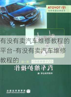 有没有卖汽车维修教程的平台-有没有卖汽车维修教程的