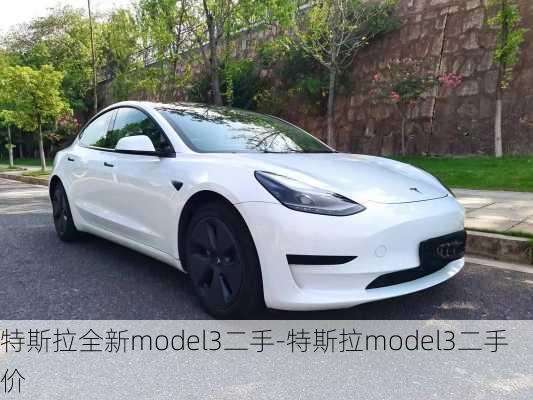 特斯拉全新model3二手-特斯拉model3二手价