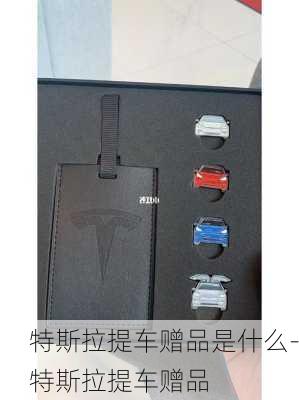 特斯拉提车赠品是什么-特斯拉提车赠品