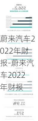 蔚来汽车2022年财报-蔚来汽车2022年财报