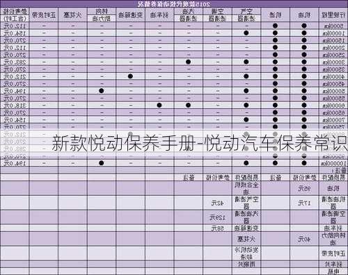 新款悦动保养手册-悦动汽车保养常识