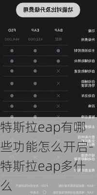 特斯拉eap有哪些功能怎么开启-特斯拉eap多什么