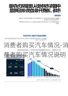 消费者购买汽车情况-消费者购买汽车情况说明