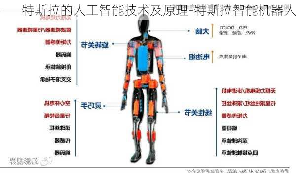 特斯拉的人工智能技术及原理-特斯拉智能机器人