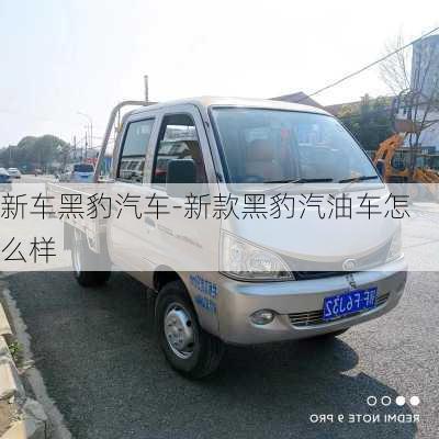 新车黑豹汽车-新款黑豹汽油车怎么样