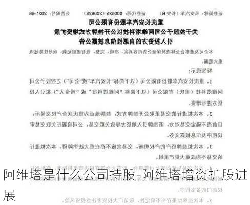 阿维塔是什么公司持股-阿维塔增资扩股进展