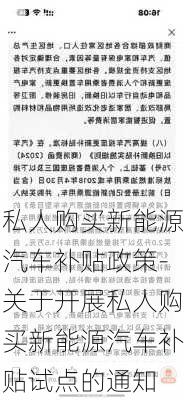 私人购买新能源汽车补贴政策-关于开展私人购买新能源汽车补贴试点的通知