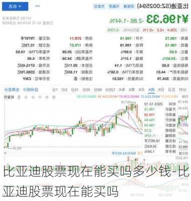 比亚迪股票现在能买吗多少钱-比亚迪股票现在能买吗