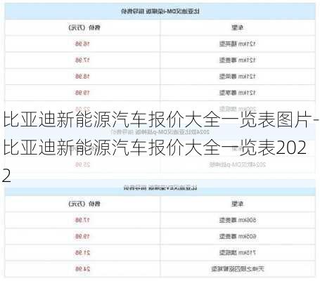 比亚迪新能源汽车报价大全一览表图片-比亚迪新能源汽车报价大全一览表2022