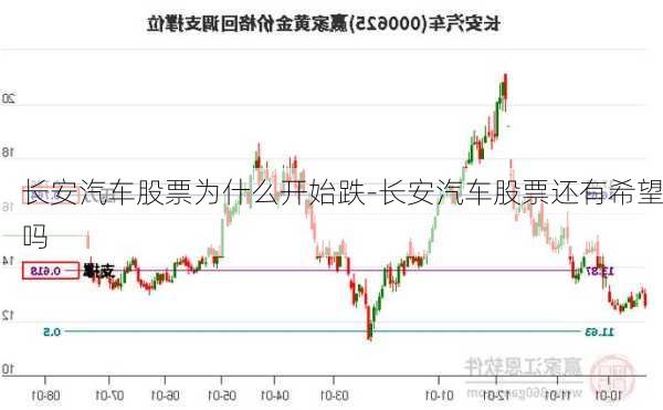 长安汽车股票为什么开始跌-长安汽车股票还有希望吗