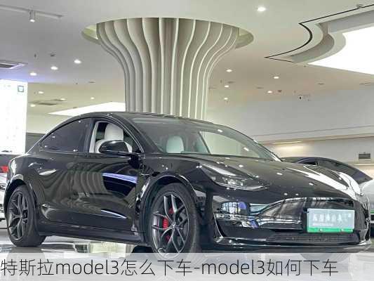 特斯拉model3怎么下车-model3如何下车