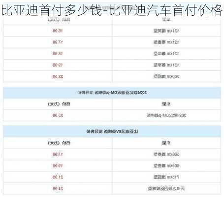 比亚迪首付多少钱-比亚迪汽车首付价格