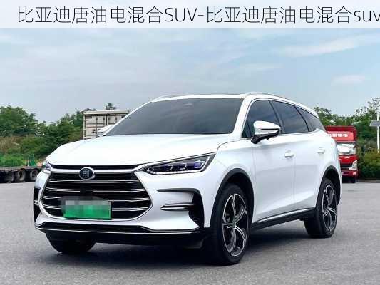 比亚迪唐油电混合SUV-比亚迪唐油电混合suv