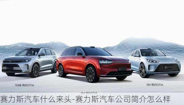 赛力斯汽车什么来头-赛力斯汽车公司简介怎么样