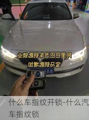 什么车指纹开锁-什么汽车指纹锁