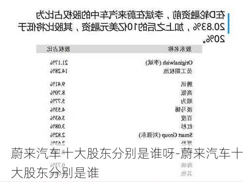 蔚来汽车十大股东分别是谁呀-蔚来汽车十大股东分别是谁