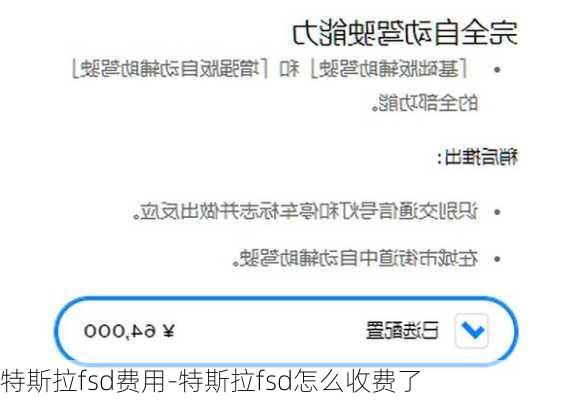 特斯拉fsd费用-特斯拉fsd怎么收费了